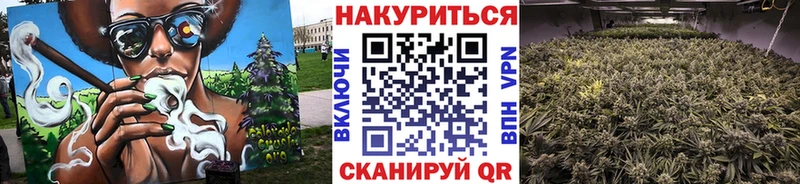 Бошки Шишки сатива  Зуевка 
